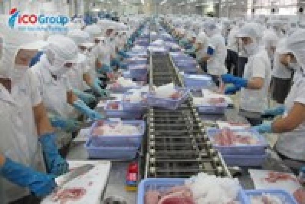 Năm 2017, nhu cầu tuyển dụng lao động Việt Nam làm việc tại Hàn Quốc tăng cao