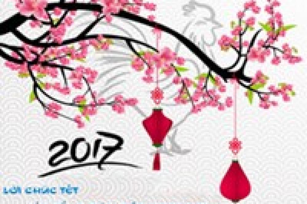 Thư chúc Tết của Tổng Giám đốc ICOGroup
